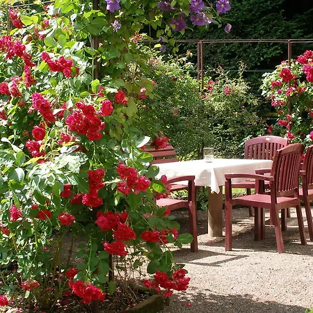 Martha Guest house Ruhla